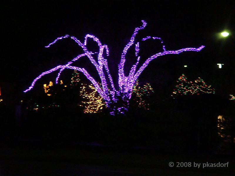 024 Toledo Zoo Light Show [2008 Dec 27].JPG - Scenes from the Toledo Zoo Light Show.